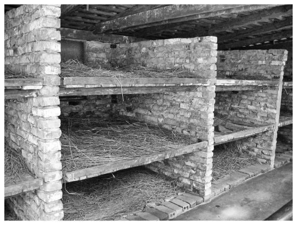 2005-09-03 Auschwitz